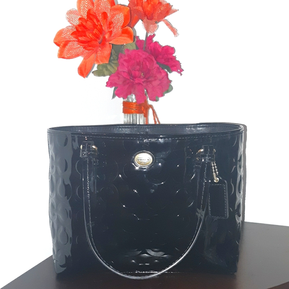 EUC Coach handbag